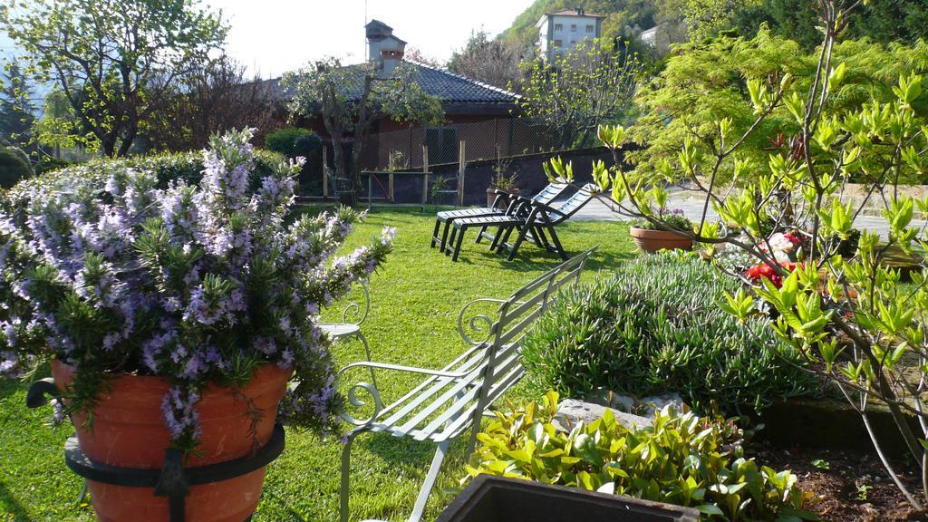 Апартаменти Casa Beatrice Oliveto Lario Екстер'єр фото